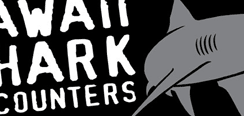 Hawaii Shark Encounters Sticker